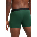 Брюки DAILY COMFORT BOXER SOFT COTTON FALKE, светло-зеленый - фото 2