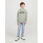 Детская толстовка Jack & Jones "JJELOGO SWEAT HOOD 2 COL 23/24 SN MNI" Jack & Jones Junior, цвет Desert Sage - фото 5