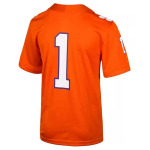 Реплика футбольного матча Clemson Tigers, для мальчиков младшего возраста (2T-4T) Nike, оранжевый - фото 2