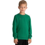 Спортивная футболка erima Sweatshirt, цвет smaragd - фото 3