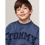 Толстовка TOMMY HILFIGER, цвет Blue/Navy - фото 3