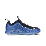 Кроссовки Nike Air Foamposite Vapor X 'Royal', синий - фото