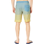 Шорты для плавания Quiksilver Surfsilk Massive 20" Boardshorts, цвет Golden Rod - фото