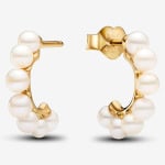 Серьги Pandora Treated Freshwater Cultured Pearls Open, золото - фото