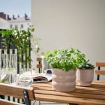 Горшок для растений Ikea Hasselbukett In/outdoor, 12 см, бежевый - фото 4