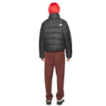 Зимняя куртка The North Face Elements Jacket 2000, черный - фото 3