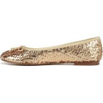 Туфли на плоской подошве Sam Edelman Felicia Oct, цвет Gold Multi - фото 4