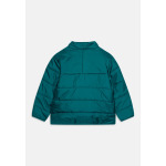 Зимняя куртка ADICOLOR KIDS adidas, цвет Legacy Teal - фото 2