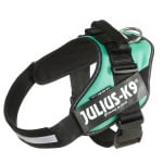 Julius K9 IDC Harness Power Green Lawn Бэби1 Julius K9, цвет зеленый - фото 2