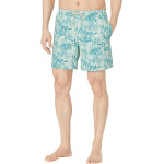 Плавки Quiksilver Waterman Loose Ways Volley 17", цвет Subtle Green - фото