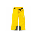 THE NORTH FACE Kids Детская лыжная одежда, цвет Yellow - фото