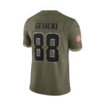 Mike Gesicki Miami Dolphins Nike 2022 Salute To Service Limited Jersey -  Olive