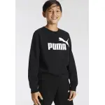 Толстовка PUMA "ESS BIG LOGO CREW FL B", цвет Puma Black - фото