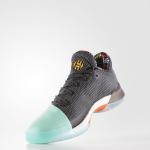 Harden shop 1 cactus