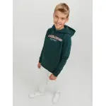 Детская толстовка с капюшоном Jack & Jones "JORLAKEWOOD SWEAT HOOD BF JNR" Jack & Jones Junior, цвет Magical Forest - фото 8