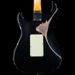 Fender Custom Shop Alley Cat Stratocaster Rosewood Board Heavy Relic HSS Floyd Rose Black - фото 5