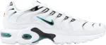 Dusty cactus air max plus store
