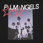 Футболка Palm Angels Stars And Palms Loose Tee 'Black', черный - фото 3