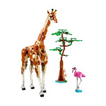 Конструктор Lego Creator 3-in-1 Wild Safari Animals 31150, 780 деталей - фото 3