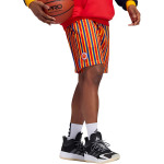 X Eric Emanuel McDonald's All American Game Shorts Adidas, цвет Multicolor - фото 5