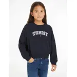 Толстовка Tommy Hilfiger "VARSITY EMBROIDERED CREWNECK", дети до 16 лет, с вышивкой логотипа, цвет Desert Sky - фото