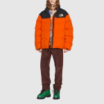 Пуховик мужской The North Face X Gucci, оранжевый - фото 3