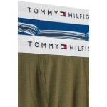 Боксеры, 2 шт в упаковке Tommy Hilfiger, синий/зеленый - фото 2