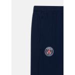 Спортивные штаны PARIS ST GERMAIN DF UNISEX Nike, темно-синий - фото