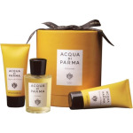 Acqua Di Parma Colonia 100 мл испаритель - фото