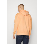 Толстовка SMALL SIGNATURE WASHED HOODIE UNISEX Karl Kani, многоцветный - фото 3