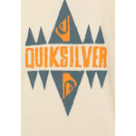 Толстовка с капюшоном SCREEN HOODIE YOUTH Quiksilver, кремовый - фото