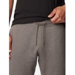 Спортивные брюки Columbia CSC Logo Fleece Jogger II, серый - фото 4