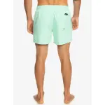 Купальные шорты Quiksilver "Everyday 15"", цвет Beach Glass - фото 3