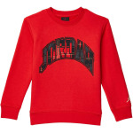 Толстовка Jordan Essentials Plaid Crew Sweatshirt, цвет Fire Red - фото 3