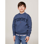 Толстовка TOMMY HILFIGER, цвет Blue/Navy - фото 2