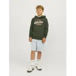 Детская толстовка с капюшоном Jack & Jones "JJELOGO SWEAT HOOD 2 COL 24/25 NOOS JNR" Jack & Jones Junior, цвет Kombu Green - фото 4