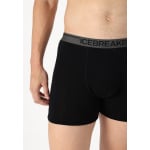 Брюки MEN MERINO 150 ANATOMICA BOXERS WFLY Icebreaker, черный - фото 5