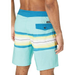 Шорты для плавания Quiksilver Surfsilk Resin Tint 19" Boardshorts, цвет Angel Blue - фото 2