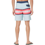 Шорты для плавания Quiksilver Surfsilk Resin Tint 19" Boardshorts, цвет Blue Grey - фото