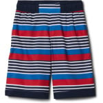 Шорты для плавания Columbia Sandy ShoresBoardshorts, цвет Collegiate Navy Milo Stripe - фото 3