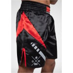 Спортивные брюки HORNELL BOXING  Gorilla Wear, черный - фото 5