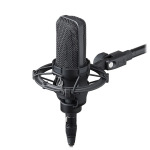 Конденсаторный микрофон Audio-Technica AT4033a Large Diaphragm Cardioid Condenser Microphone - фото