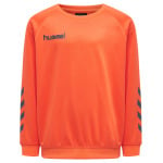 Толстовка Hummel Raglanärmel Hmlpromo Multisport Kinder, цвет nasturtium **do not use - фото