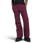 Брюки The North Face Dawnstrike GORE-TEX Insulated Tall, цвет Boysenberry - фото