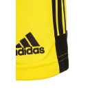 Шорты TASTIGO adidas Performance, цвет yellow / black - фото 4