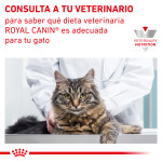 Корм диетический для котят Royal Canin при нарушениях пищеварения 2 кг - фото 8