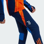 Брюки ADIDAS PERFORMANCE Slim fit Workout Pants Juventus Tiro 24, синий - фото 3