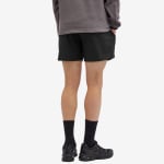 Шорты Cotopaxi Brinco 5" Shorts, цвет Cotopaxi Black - фото 3