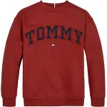 Толстовка Tommy Hilfiger "VARSITY EMBROIDERY SWEATSHIRT", детский до 16 лет, с тисненым логотипом, цвет Dark Magma - фото 9