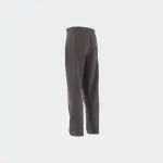 Уличные брюки adidas TERREX "XPLORIC PANTS" (1 шт.), цвет Charcoal - фото 19